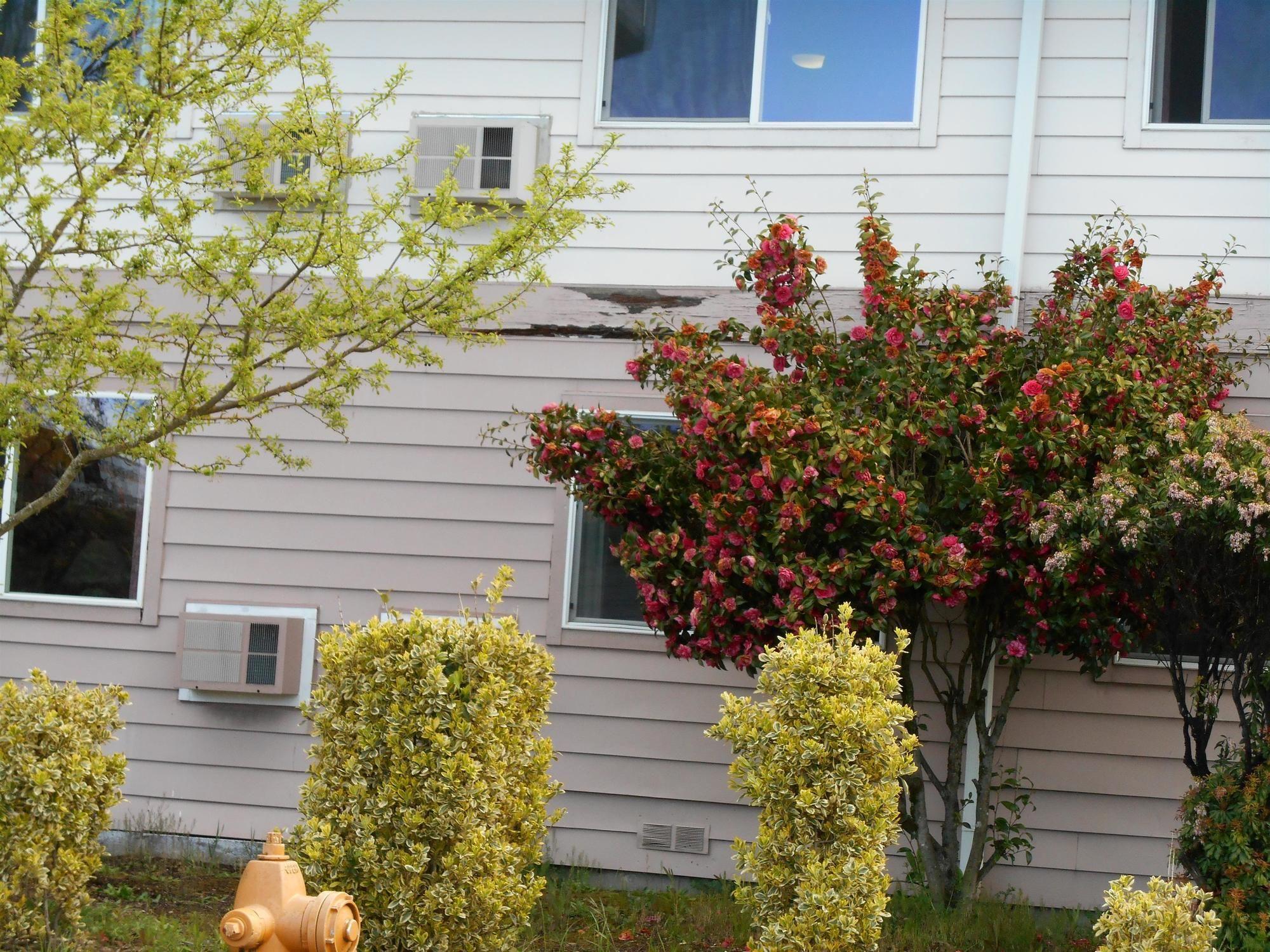 Guesthouse Inn & Suites Eugene/Springfield Exterior photo